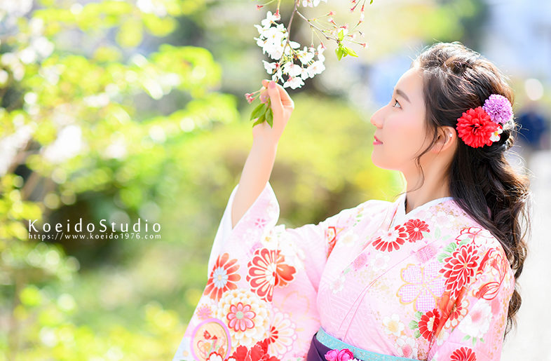 大学生 卒業袴 着物 ピンク 袴 紫 桜 ロケ写真