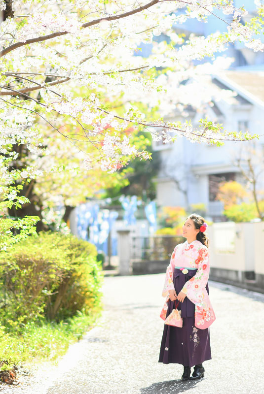 卒業袴 着物 ピンク 袴 紫 ロケ撮影 桜