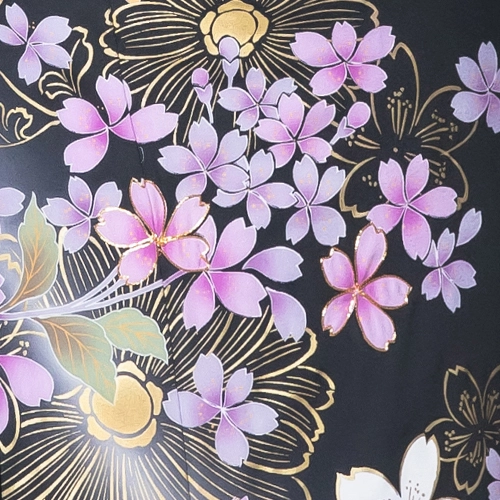 成人式にふさわしい振袖。黒地に映える金と紫の桜が華やかさをプラス。